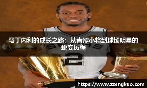 马丁内利的成长之路：从青涩小将到球场明星的蜕变历程